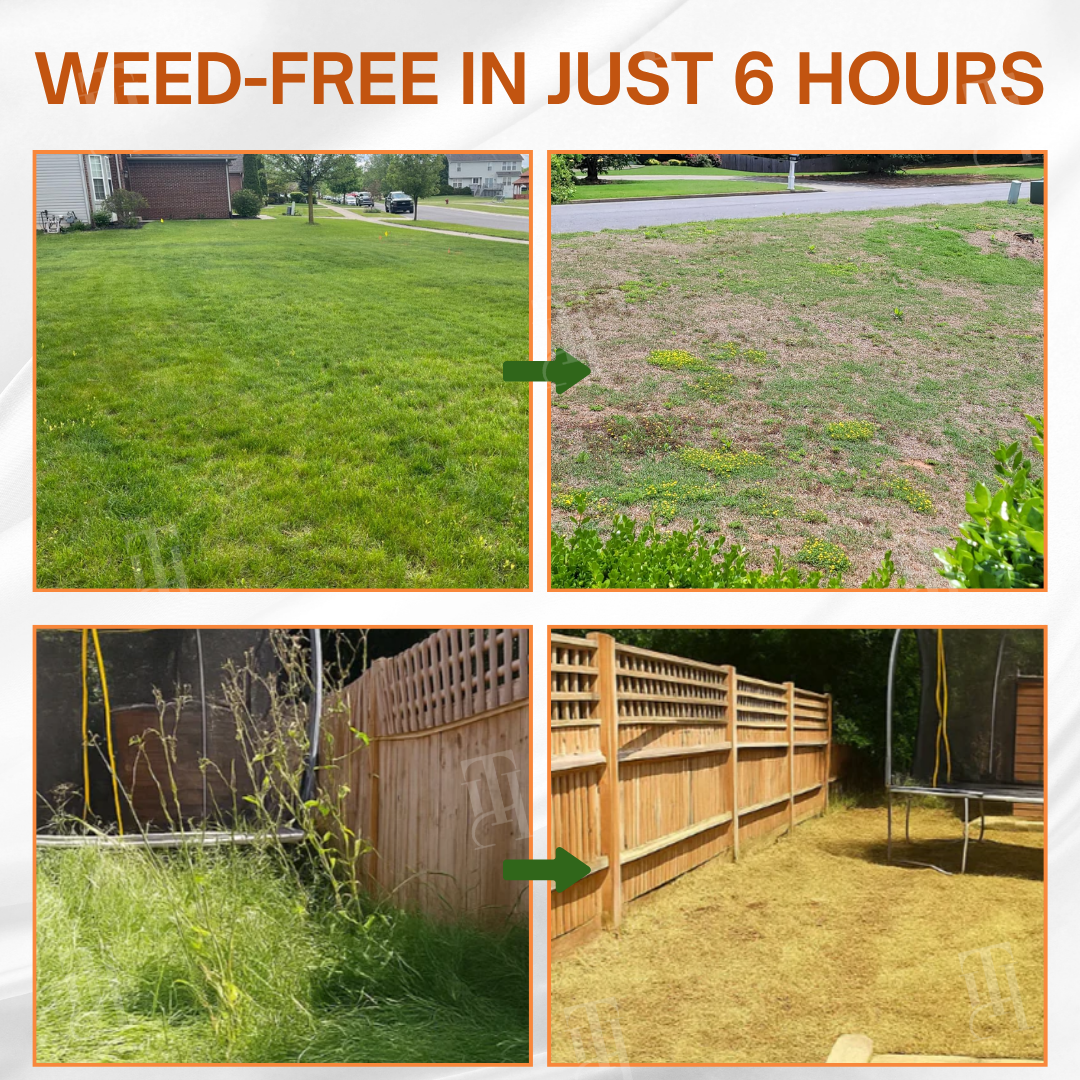 🌟 Official Store | ⏳ Watch Weeds Wither in 6 Hours! AEXZR® 2-in-1 Max Power Herbicide (100% Glyphosate-Free) .
