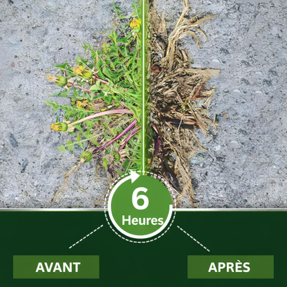 AEXZR® Herbicide 2-en-1 Ultra-Puissant