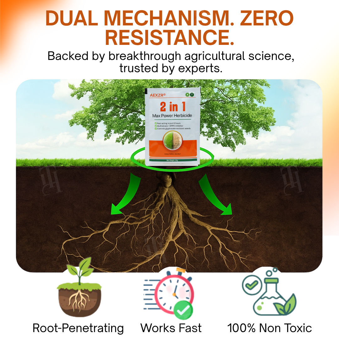 🌟 Official Store | ⏳ Watch Weeds Wither in 6 Hours! AEXZR® 2-in-1 Max Power Herbicide (100% Glyphosate-Free) .