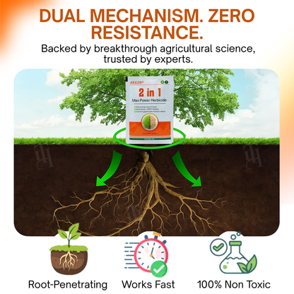 🌟 Official Store | ⏳ Watch Weeds Wither in 6 Hours! AEXZR® 2-in-1 Max Power Herbicide (100% Glyphosate-Free) .