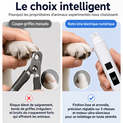 Lime à griffes électrique pour animaux avec indicateur de puis