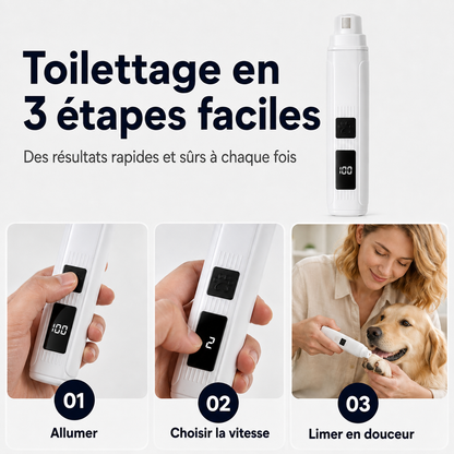 Lime à griffes électrique pour animaux avec indicateur de puis