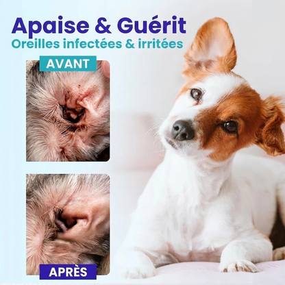 ✨ Des Oreilles Douloureuses au Confort Total ! | ⏱️ Soulagement en 3 Jours, Guéri en 7 ! | RZXEA™ Pet EarPro Gouttes FM+