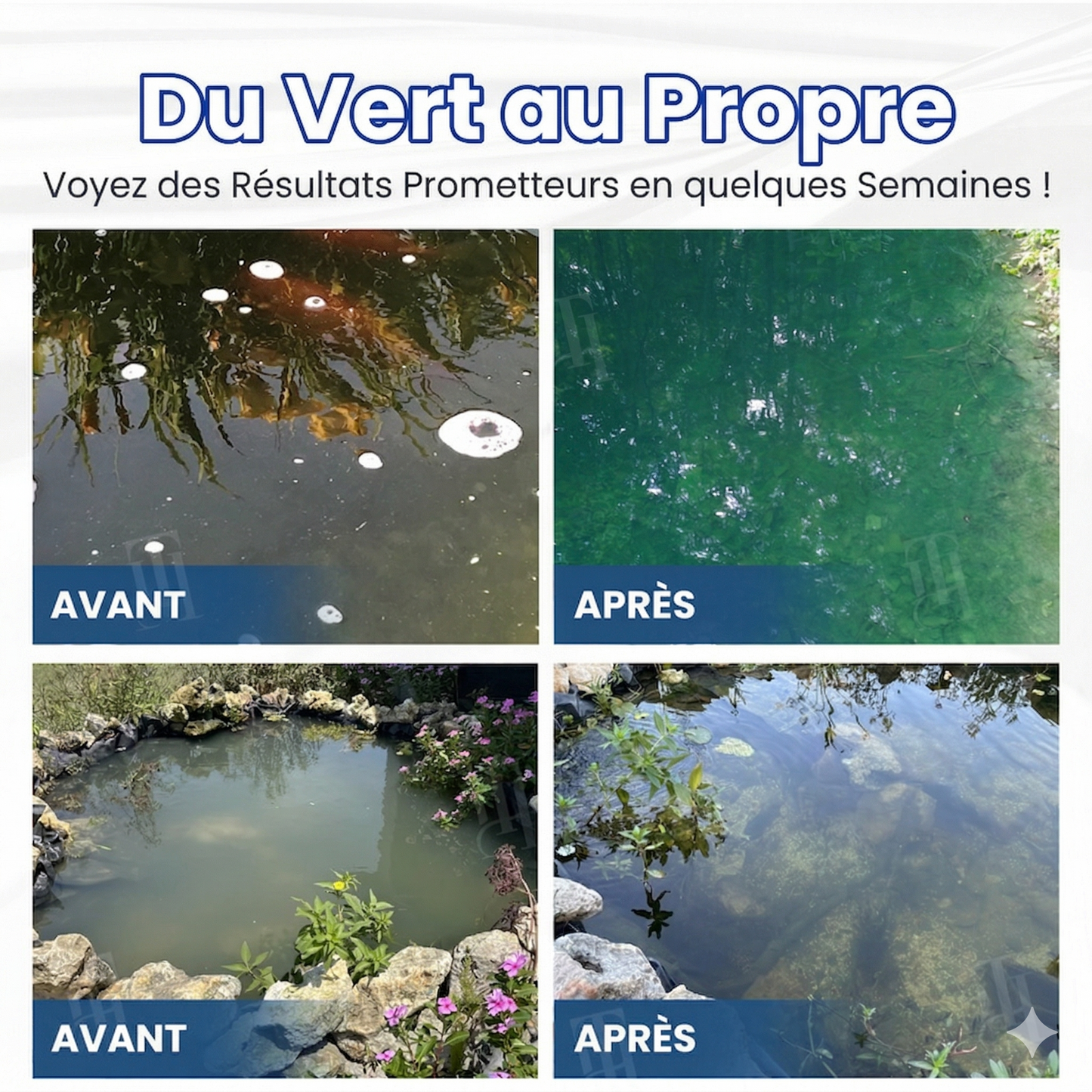 ✨ De Vert à Cristallin en une Nuit ! | ⏱️ Eau Claire en 24 Heures ! |  AEXZR®Formule Pro Aqua-Guardian